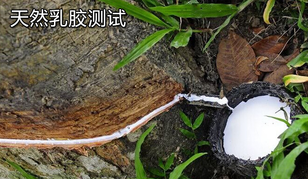 天然乳胶测试